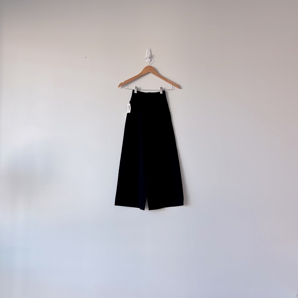 Aritzia Wilfred Brion Pants